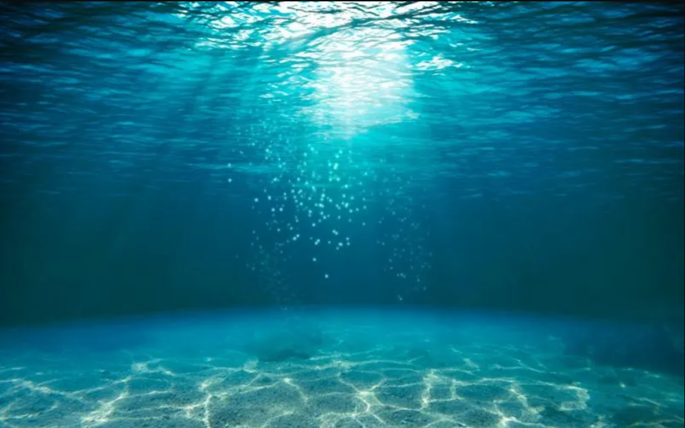 Image: nabil refaat/Shutterstock